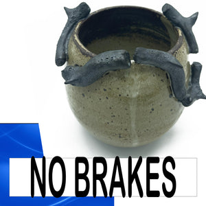 NO BRAKES